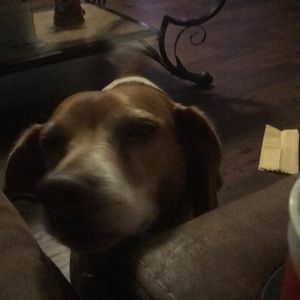 Meet your Posher, Wayne